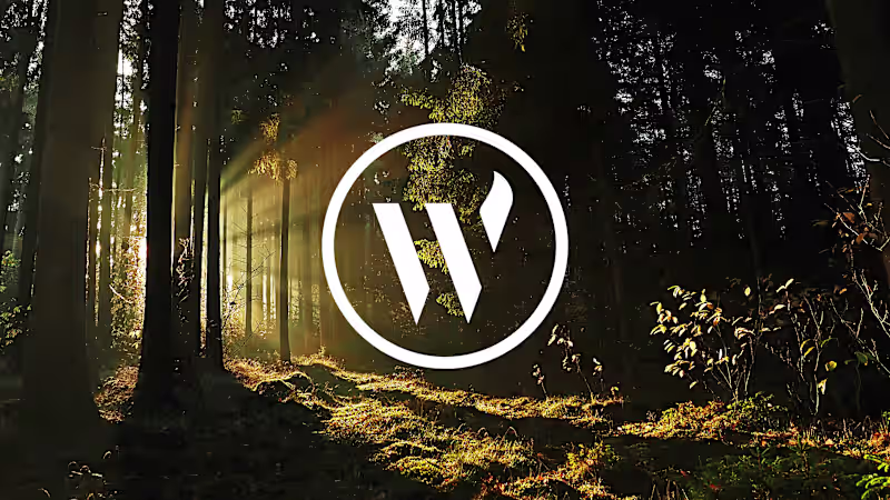 Cover image for Woodland Stove Centre - Brand Identity