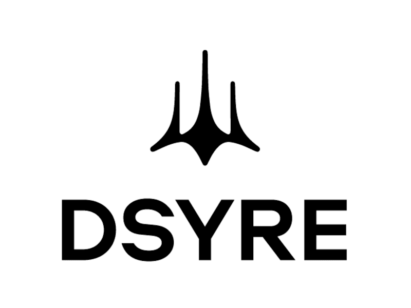 Cover image for DSYRE School