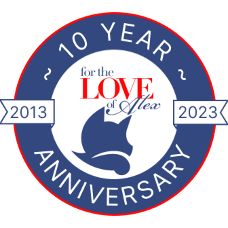 Cover image for Non-profit ops from multiple tools to a single source of truth