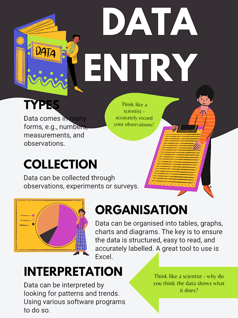 Cover image for Data Entry