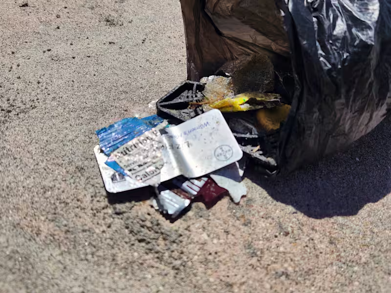 Cover image for Trashed 