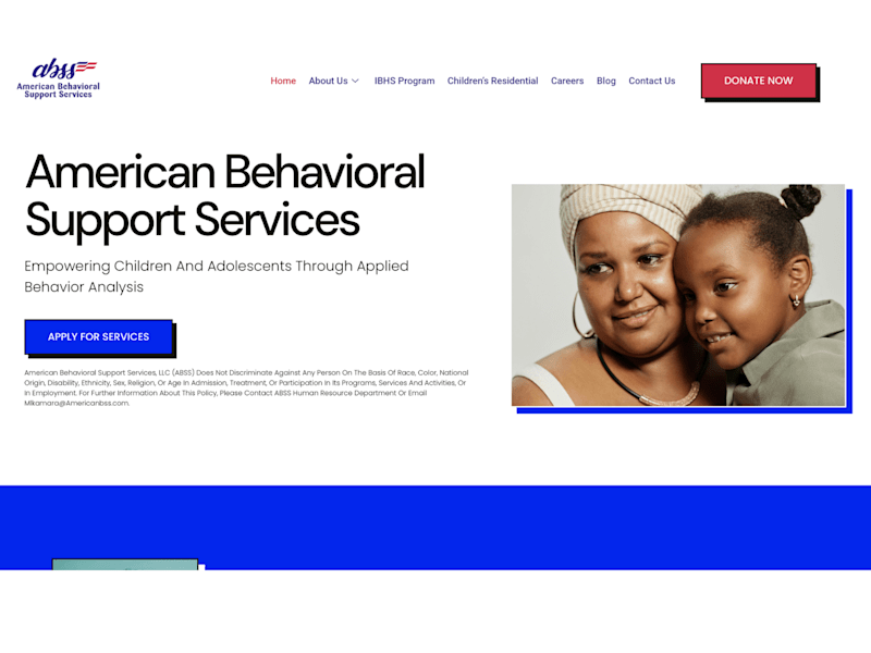 Cover image for American BSS