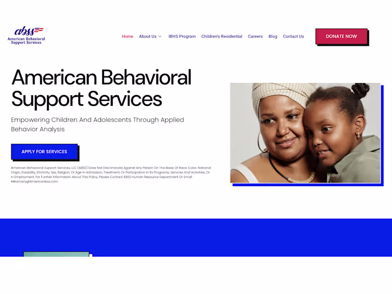 Cover image for American BSS