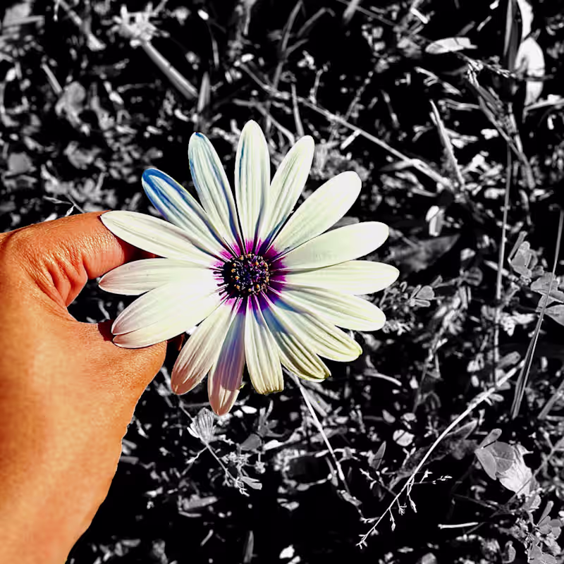 Cover image for Do you want your content to stand out with this kind of style?