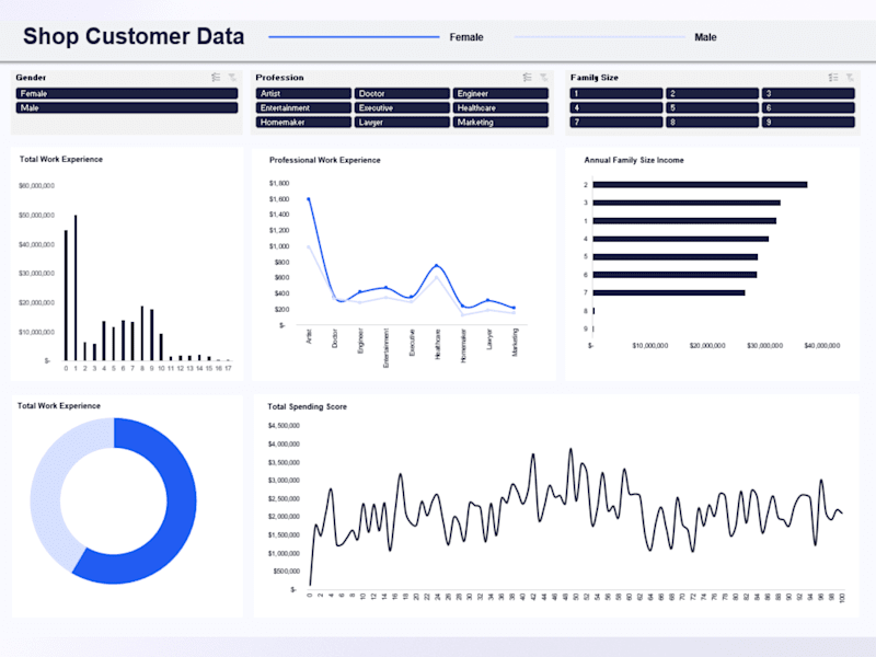 Cover image for Shop Customer Data