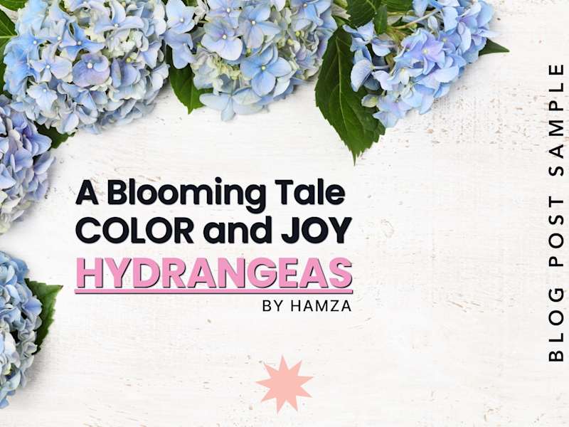 Cover image for Article Related to Hydrangeas