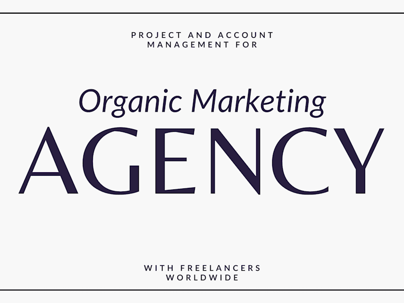Cover image for Lead Project Manager for Marketing Agency