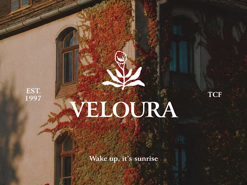 Cover image for Veloura ~ Branding, 3D Product Design & Readymag Website