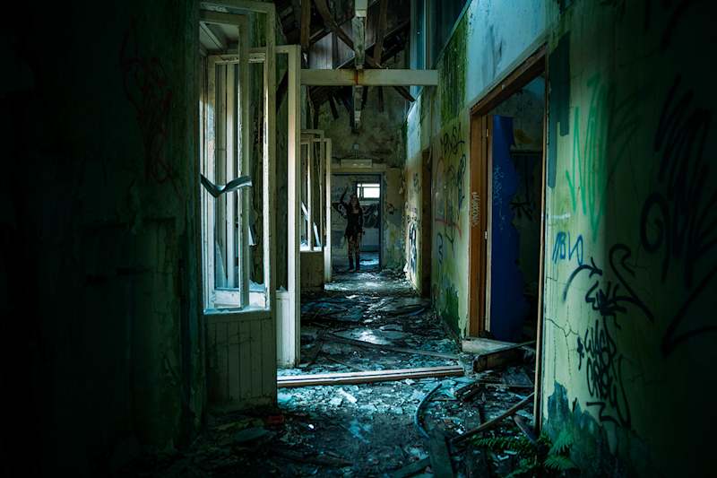Cover image for WARDEN OF THE ASYLUM