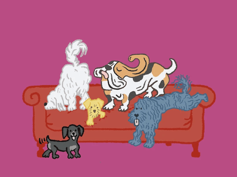 Cover image for Illustrations + Social Media Design | FluffPup