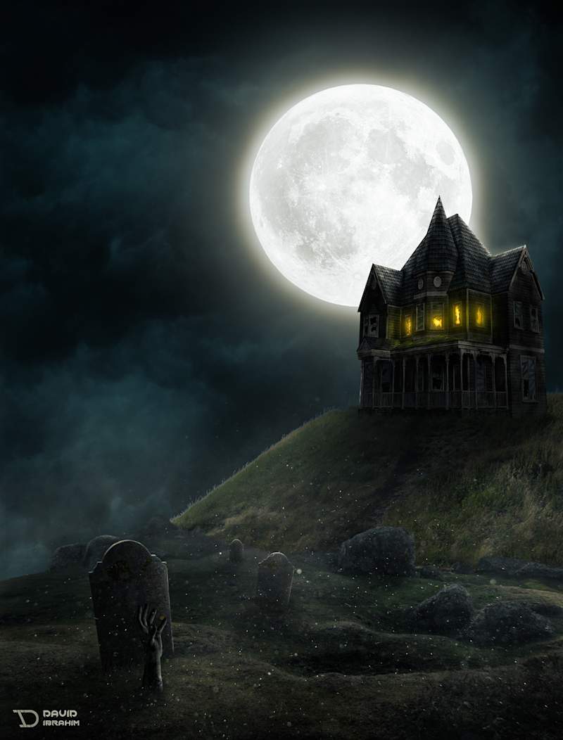 Cover image for Scary Night