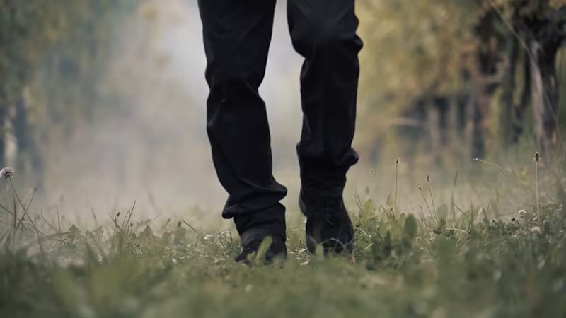 Cover image for COMMERCIAL - VINARSTVO AVGUSTIN on Vimeo