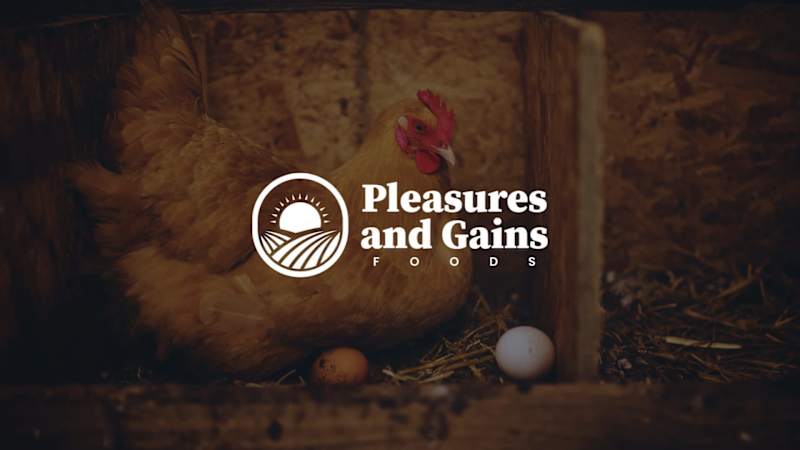 Cover image for Pleasures and Gains Foods