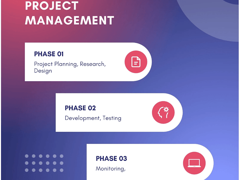 Cover image for Project Management Services
