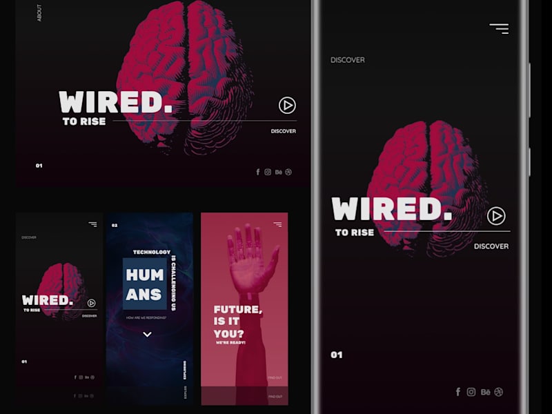 Cover image for Wired to Rise