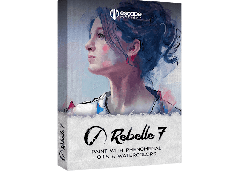 Cover image for Stylized Digital Paintings