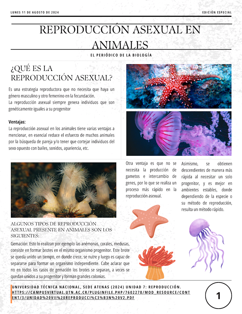 Cover image for Infographics