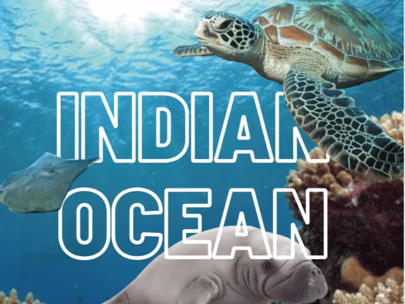 Cover image for Indian Ocean Zoo Poster