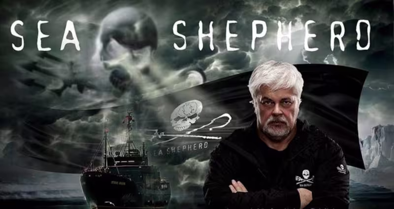 Cover image for In a World of Algorithms-Followers, We Need More People Like Him