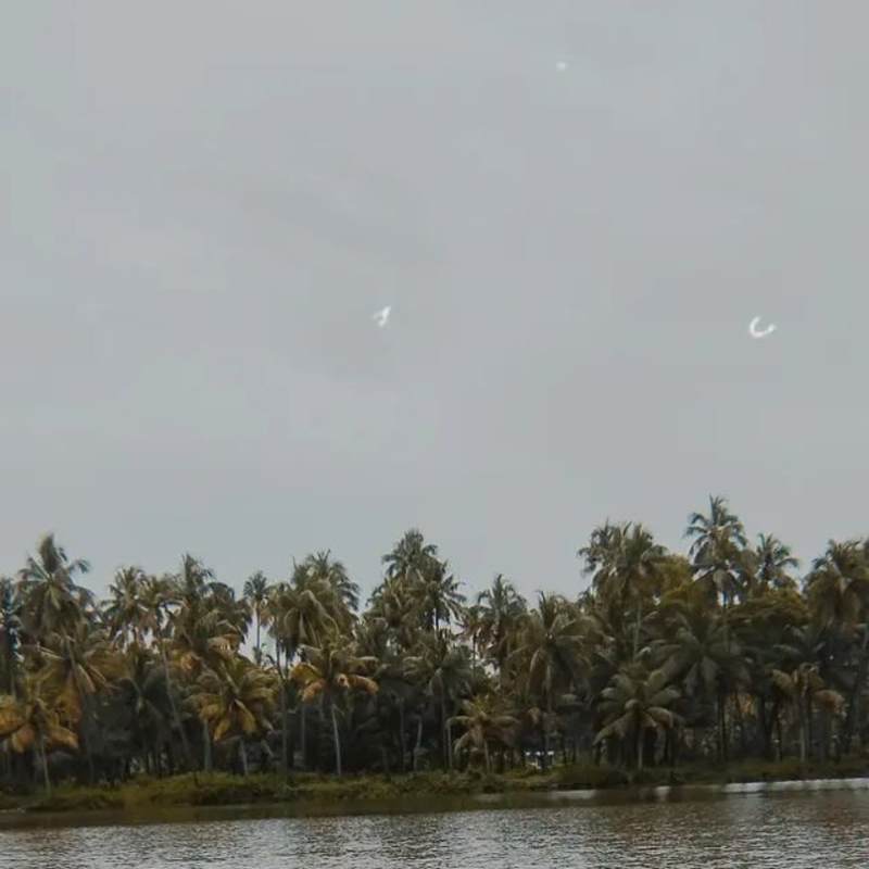 Cover image for FOCUS