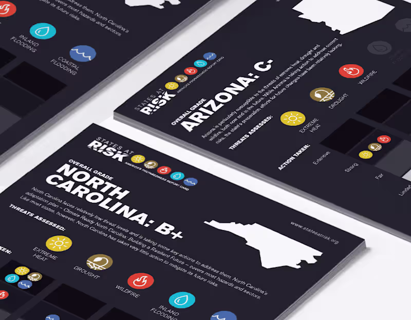 Cover image for States At Risk