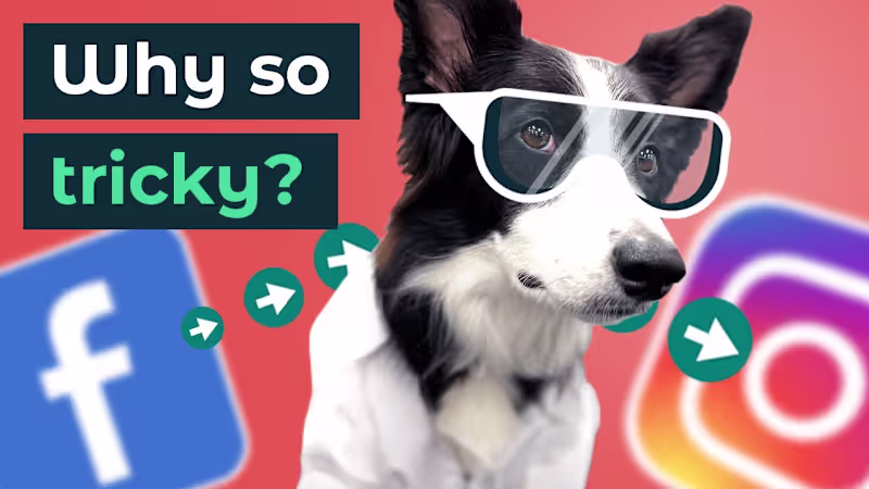 Cover image for How to link Instagram to Facebook in 2024 (and Facebook to Inst…