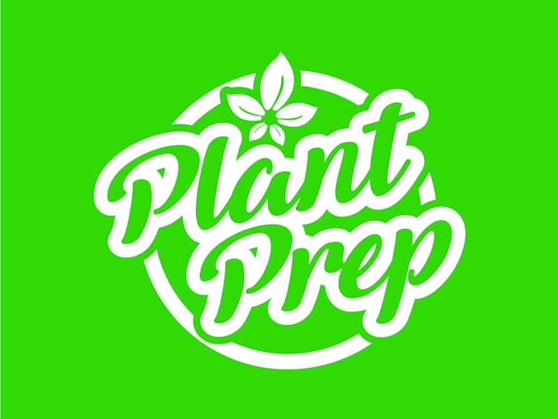 Cover image for Custom brand logo design