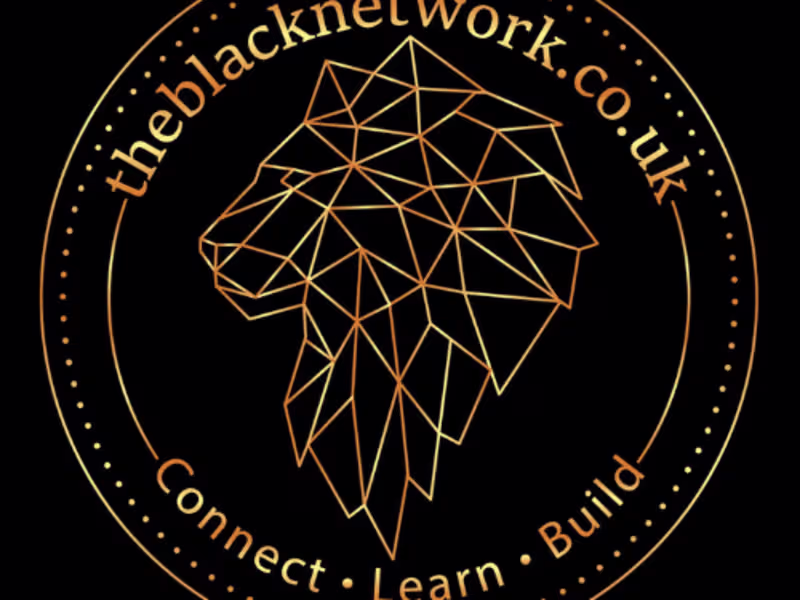 Cover image for theblacknetwork.co.uk