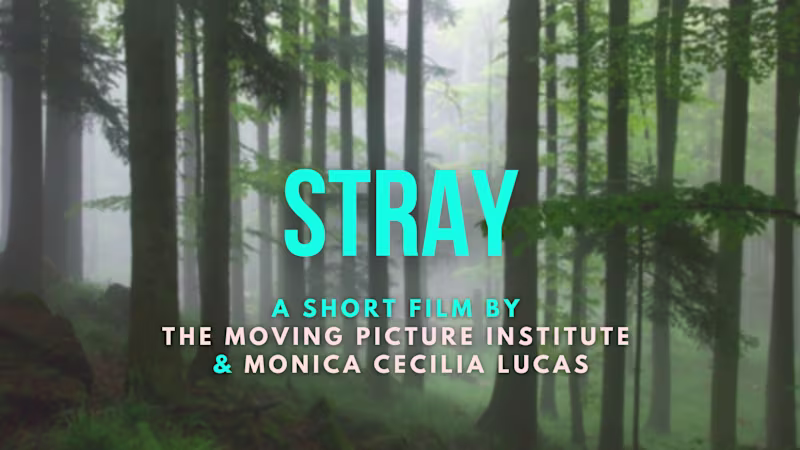 Cover image for Short Film Pitch Deck