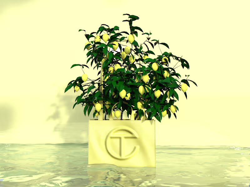 Cover image for Telfar Concept