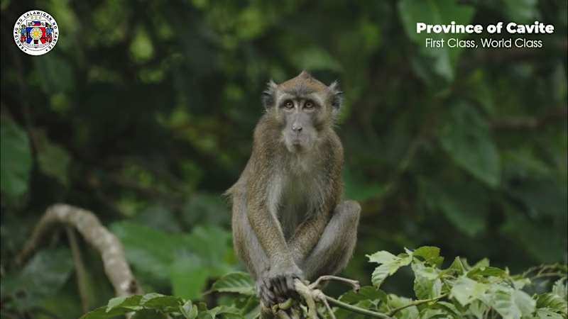 Cover image for CAVITE TOURISM VIDEO - YouTube