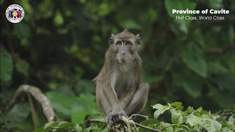 Cover image for CAVITE TOURISM VIDEO - YouTube