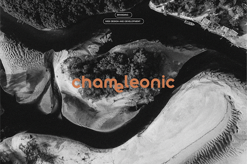 Cover image for Chameleonic | Branding & Web Design