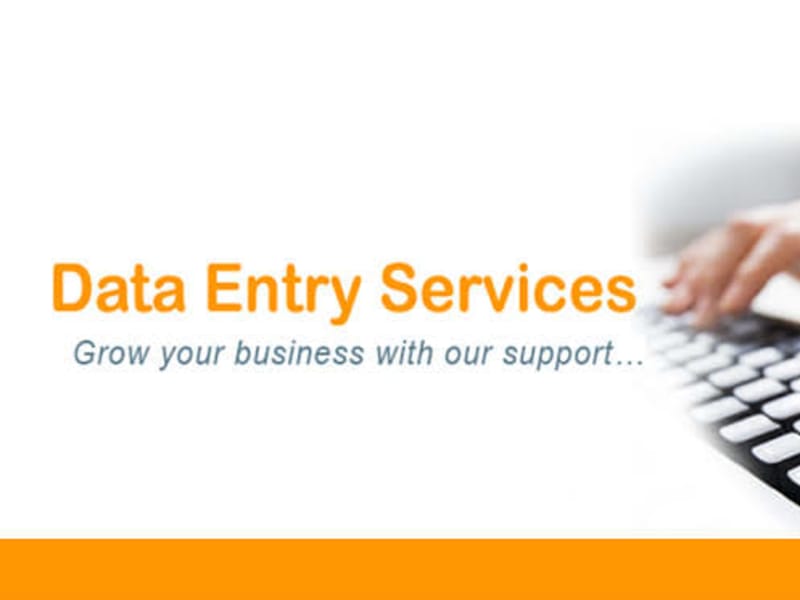Cover image for Data Entry Project Management