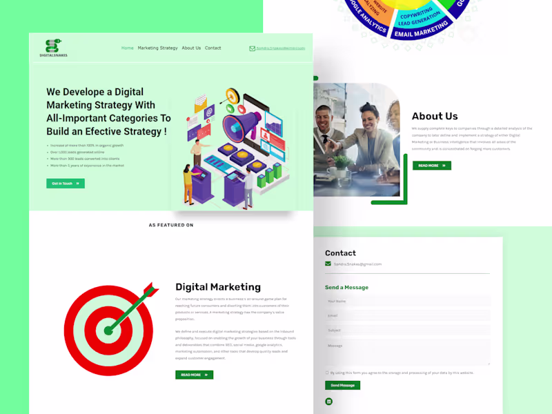 Cover image for Digital Snakes Website Design