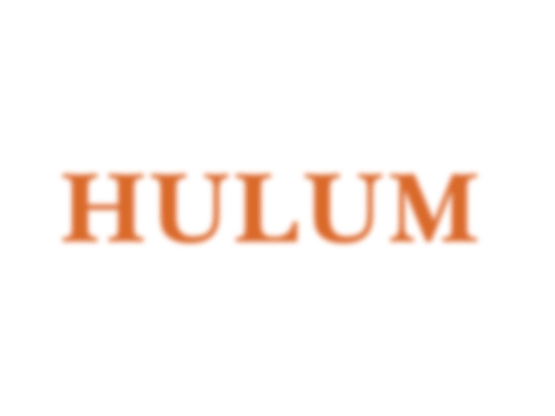 Cover image for Hulum - The Dream Insight. Illustrated dream dictionary 