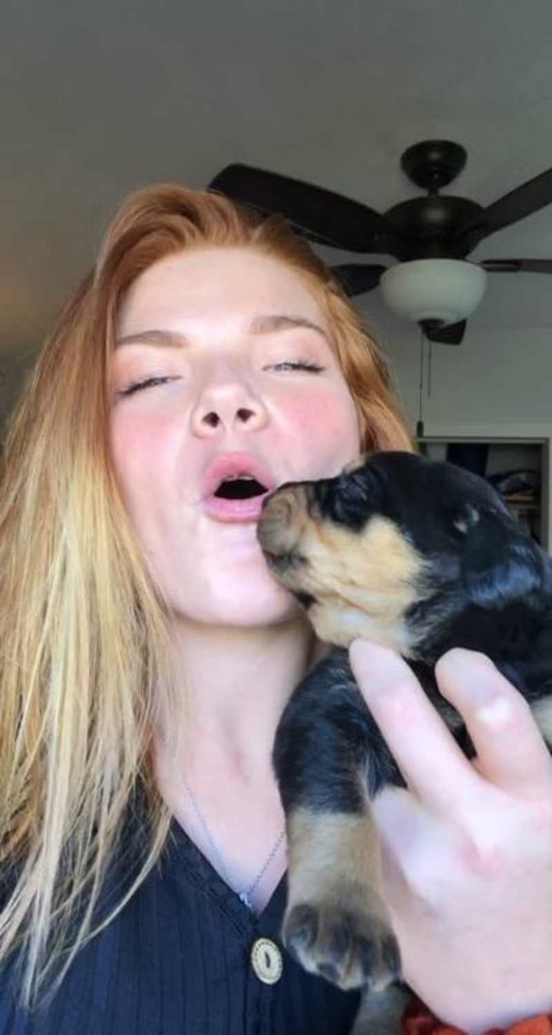 Cover image for Viral Dog Video