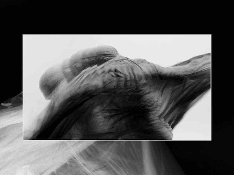 Cover image for Dry