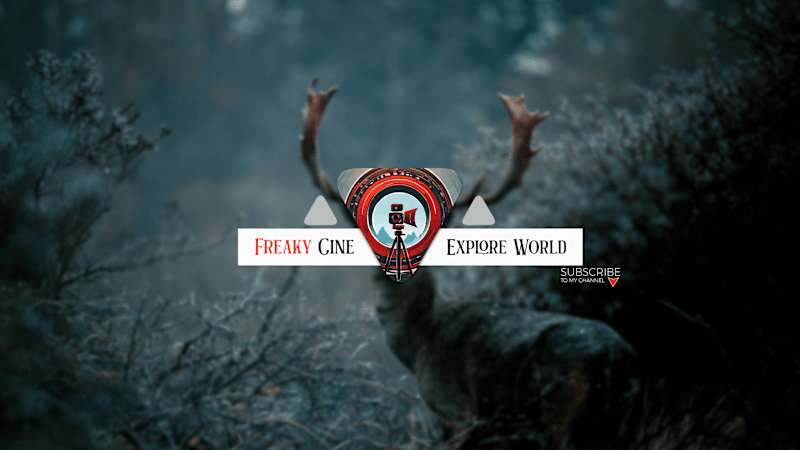 Cover image for Youtube Cover
