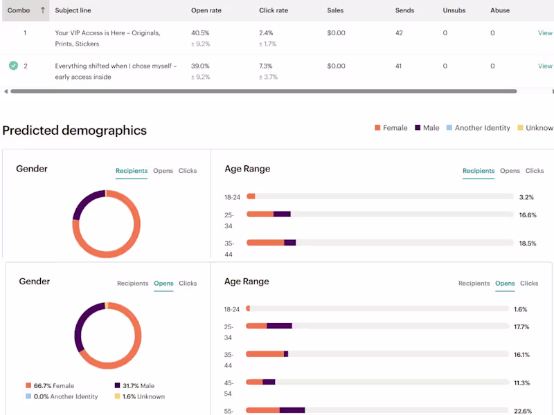 Cover image for Email A/B Testing & Analytics Reporting