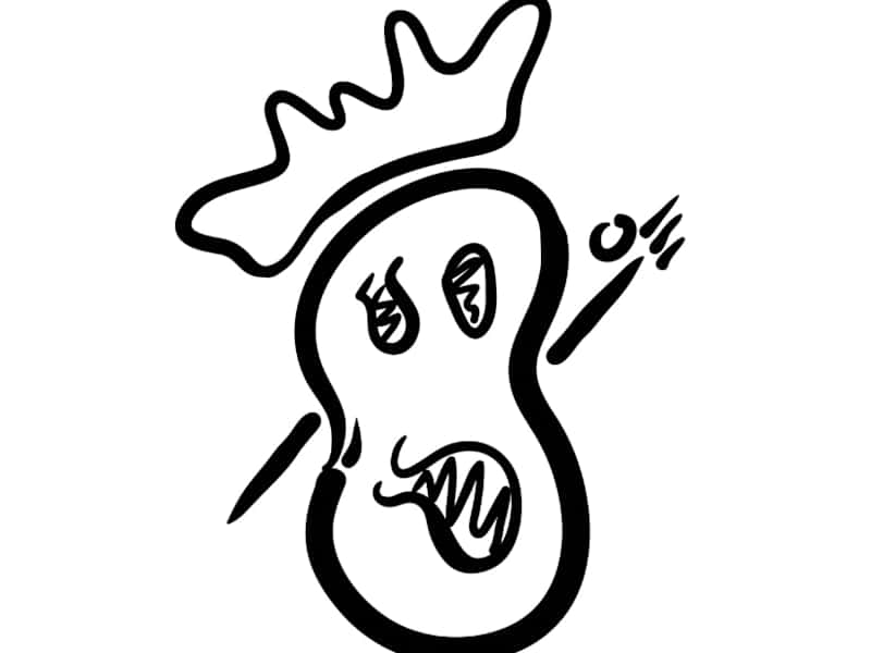 Cover image for Copy Writing