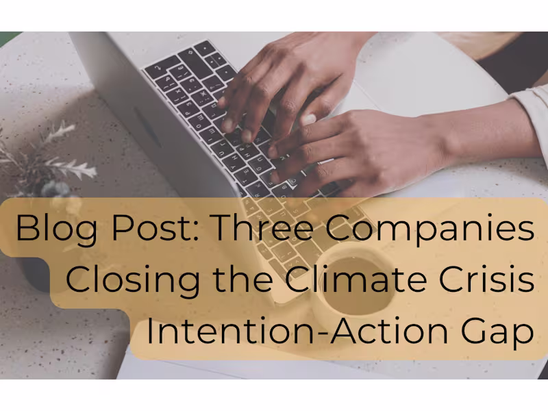 Cover image for Three Companies Closing the Climate Crisis Intention-Action Gap