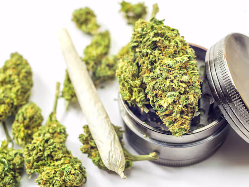 Cover image for Catchy and Funny Jingles Production for your Cannabis Business