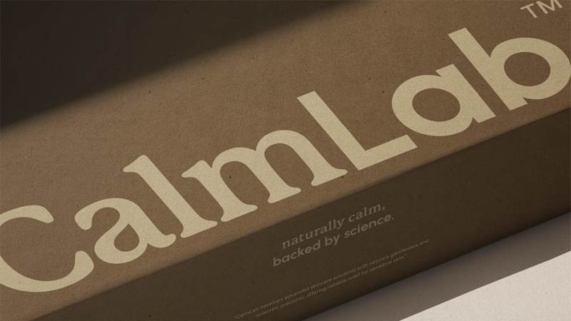 Cover image for CalmLab Brand Design
