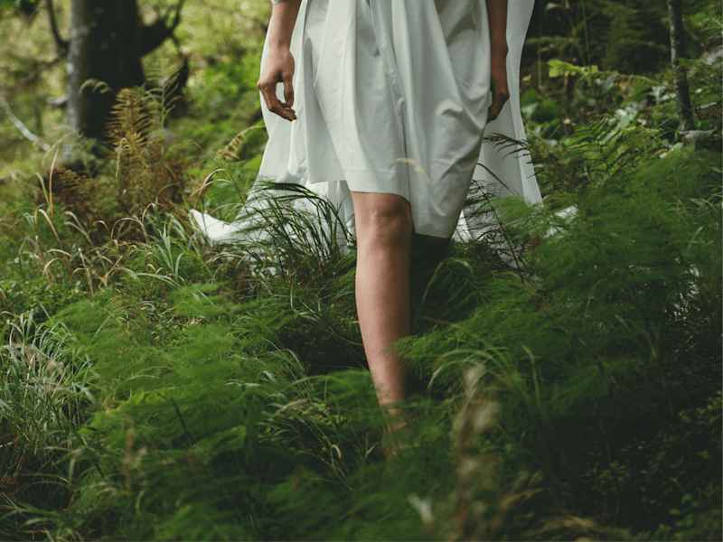 Cover image for Blog Post: Nature Through the Eyes of Women