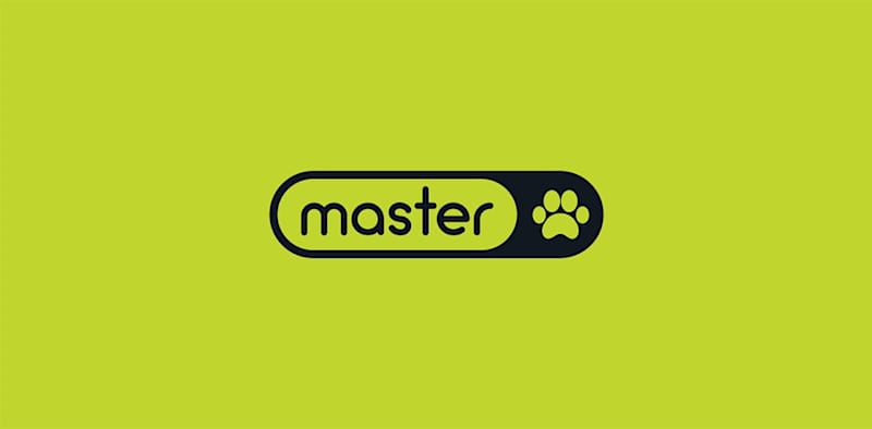 Cover image for Master