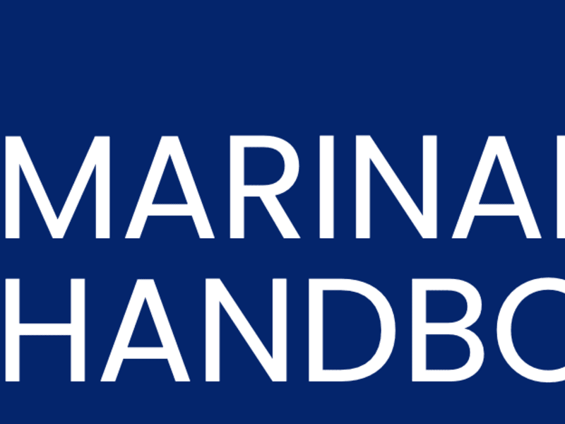 Cover image for Product Handbook