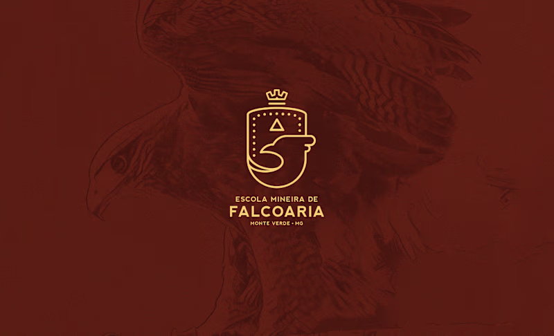 Cover image for Brazilian School of Falconry Branding Project