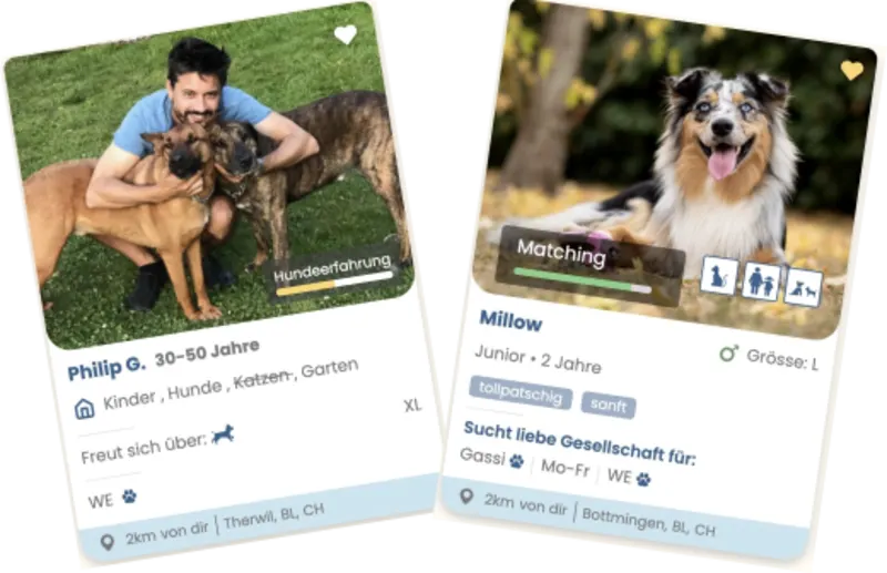 Cover image for fairDogs Dog-Sharing and Personality Testing Platform