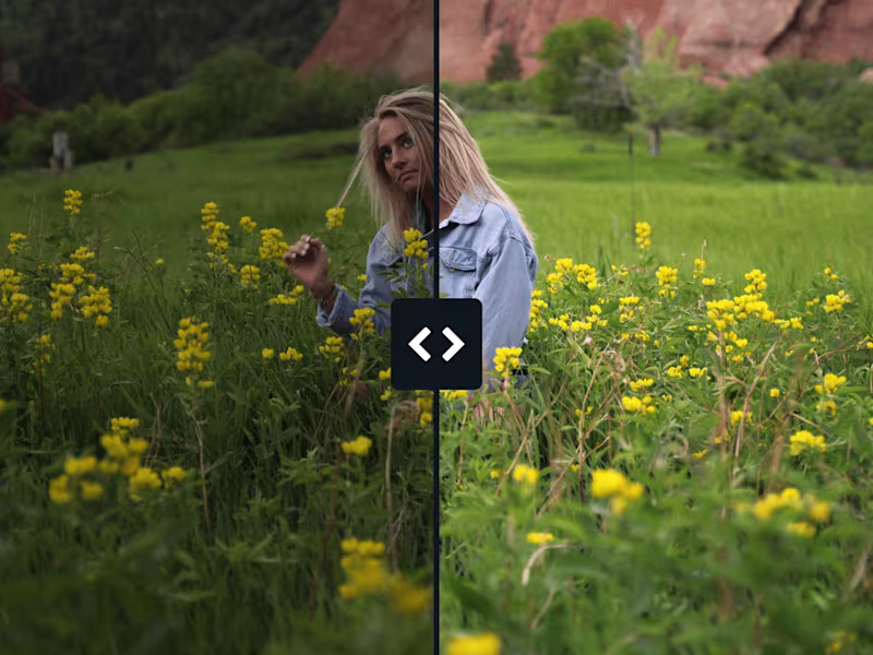 Cover image for EyeQ Imaging Inc. Digital Assets